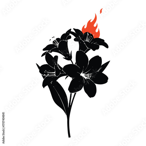 Orchid flower isolated on white background