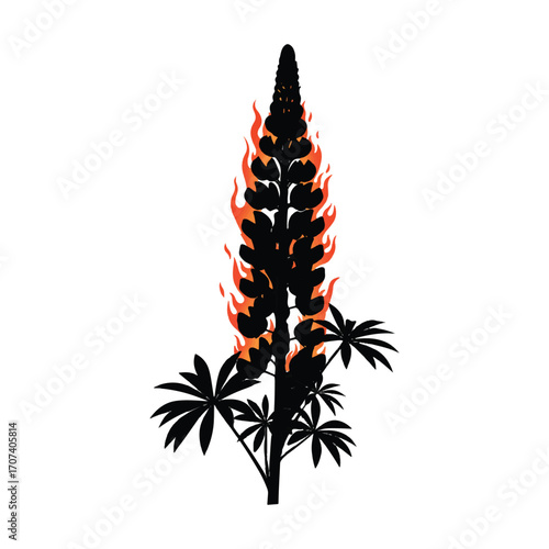 Black and white flower