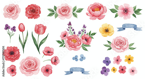 Elegant hand-painted vector watercolor flower illustration set with delicate botanical roses, peonies, tulips, ideal for charming spring designs.