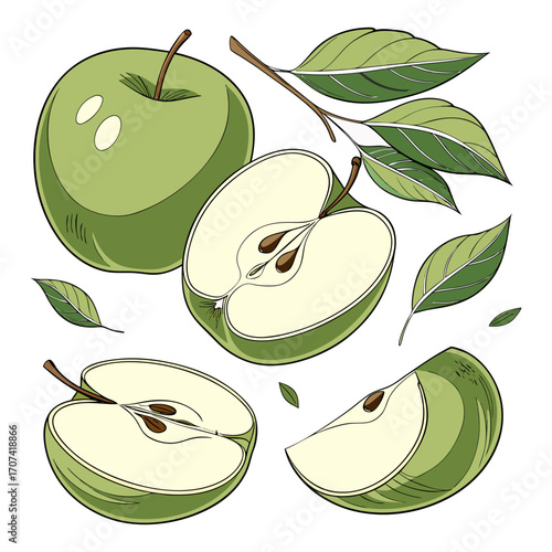 Create a high-resolution, realistic image of several fresh green apples (Granny Smith variety) arranged artistically on a white background. Include a mix of whole apples, halved apples, and apple slic