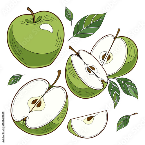 Create a high-resolution, realistic image of several fresh green apples (Granny Smith variety) arranged artistically on a white background. Include a mix of whole apples, halved apples, and apple slic