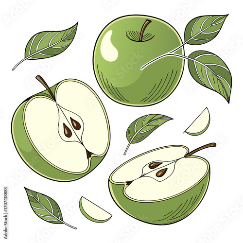 Create a high-resolution, realistic image of several fresh green apples (Granny Smith variety) arranged artistically on a white background. Include a mix of whole apples, halved apples, and apple slic