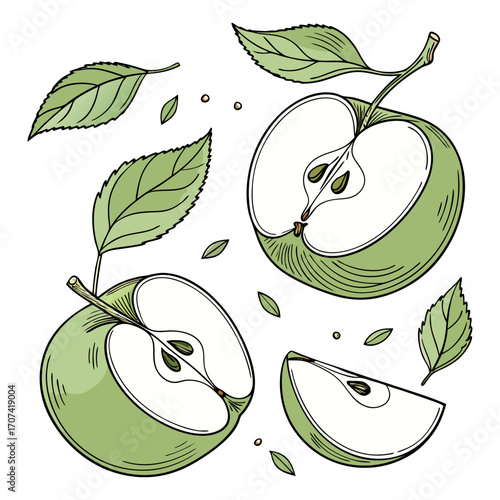 Create a high-resolution, realistic image of several fresh green apples (Granny Smith variety) arranged artistically on a white background. Include a mix of whole apples, halved apples, and apple slic
