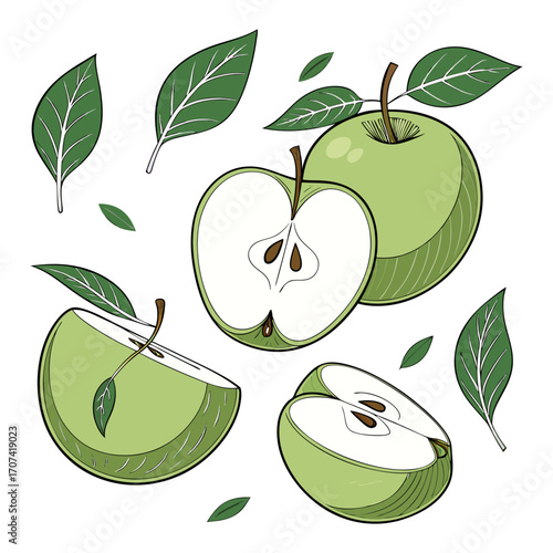 Create a high-resolution, realistic image of several fresh green apples (Granny Smith variety) arranged artistically on a white background. Include a mix of whole apples, halved apples, and apple slic
