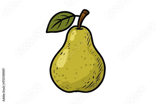 Hand-drawn pear vector illustration. Ripe green fruit in a cartoon sketch style. Fresh organic food icon for healthy eating, diet and nutrition concepts. Isolated graphic.