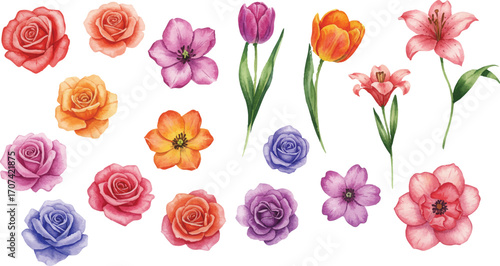 A beautiful collection of vibrant blooming flowers in a hand-painted style, a detailed vector watercolor flower illustration set isolated on white.