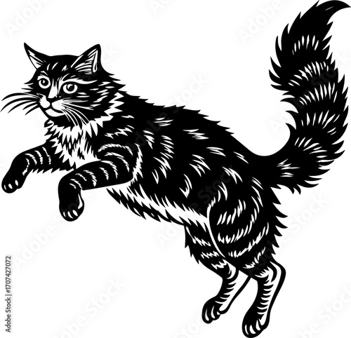 black cat vector illustration