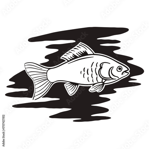 Illustration of a fish swimming in water black and white drawing aquatic animal fish drawing carp fish illustration | editable eps