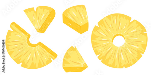 Pineapple Slices and Chunks, Pieces Illustration. Tropical Fruit. Vector 