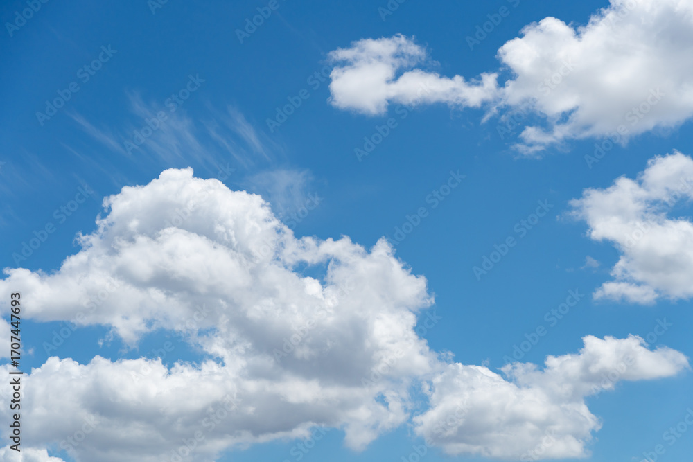 Obraz premium 青空に浮かぶ綿あめのような雲