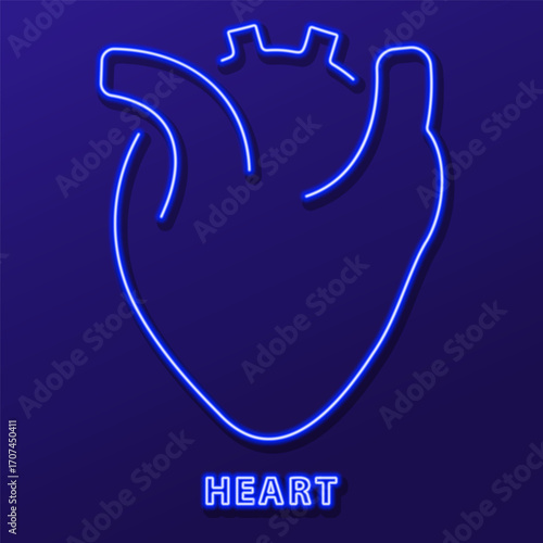 heart organ neon sign, modern glowing banner design, colorful modern design trends. Vector illustration.