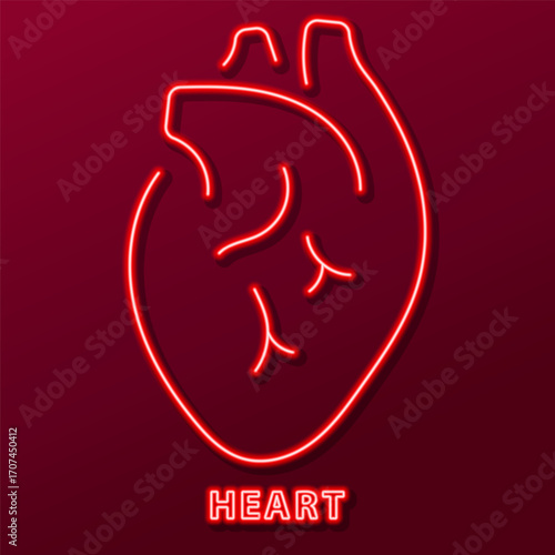 heart organ neon sign, modern glowing banner design, colorful modern design trends. Vector illustration.