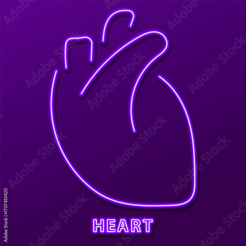 heart organ neon sign, modern glowing banner design, colorful modern design trends. Vector illustration.