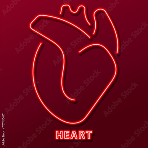 heart organ neon sign, modern glowing banner design, colorful modern design trends. Vector illustration.