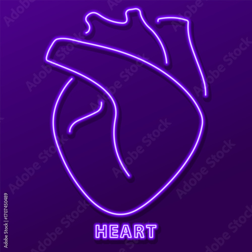 heart organ neon sign, modern glowing banner design, colorful modern design trends. Vector illustration.