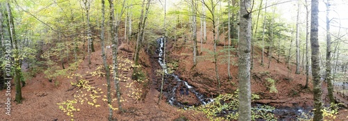 Aerial view of Bolu Yedigöller National Park.