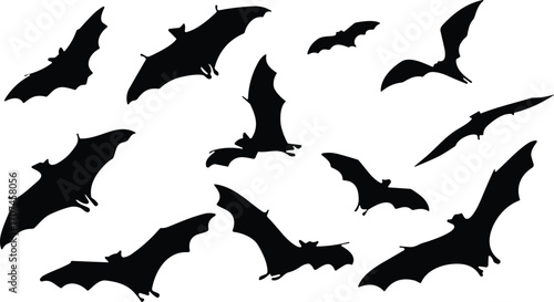 Bat silhouette set, flying bat icon, Halloween graphic, nocturnal animal, black vector, wing pose, spooky design, wildlife shape