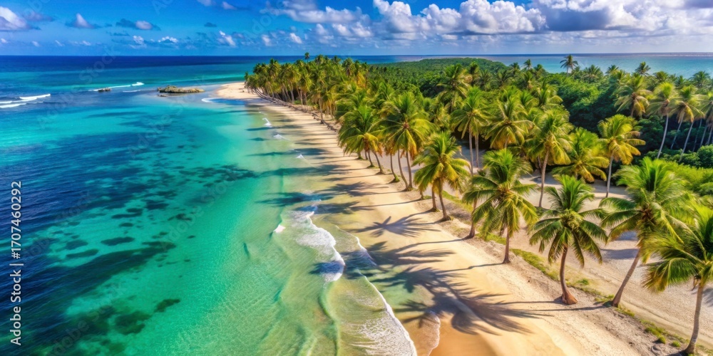 Obraz premium Serene Tropical Beach with Palm Trees and Crystal Clear Water