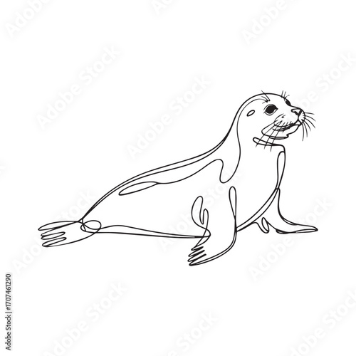 Continuous Simple black line art drawing of a Seal in a minimalist style on a white background.