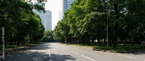 road in the park