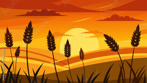 Sunset over field with wheat silhouettes