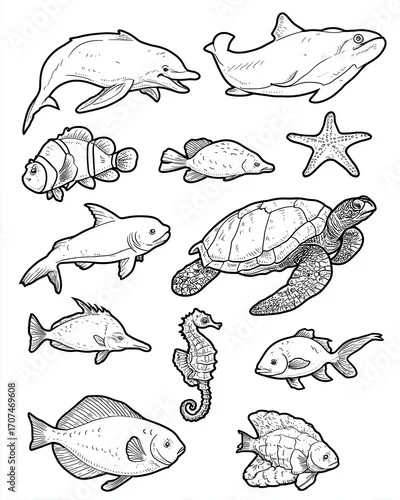 Obraz Kolorowanki dla dzieci – Zwierzęta morskie: delfin, żółw, rekin, krab, meduza i inne stworzenia oceanu do druku