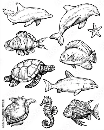 Obraz Kolorowanki dla dzieci – Zwierzęta morskie: delfin, żółw, rekin, krab, meduza i inne stworzenia oceanu do druku