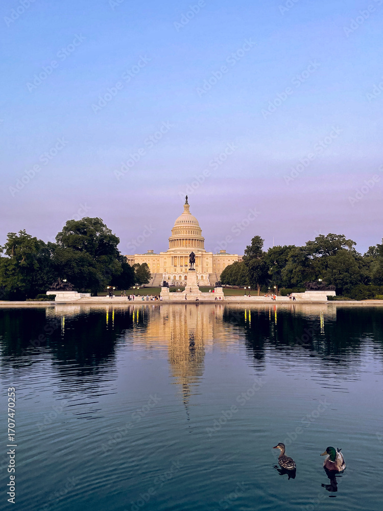 Obraz premium Washington DC Capitol at Dawn