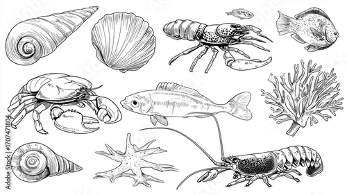 Obraz Kolorowanki dla dzieci – Zwierzęta morskie: delfin, żółw, rekin, krab, meduza i inne stworzenia oceanu do druku