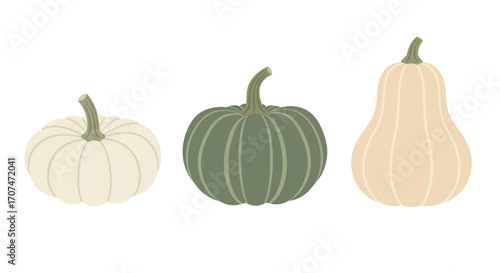 A modern vector set of three heirloom pumpkins & winter squash in muted fall colors, perfect for aesthetic Autumn, Halloween & Thanksgiving decor