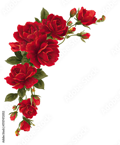 Fototapeta Naklejka Na Ścianę i Meble -  Red roses cascading in a decorative corner border