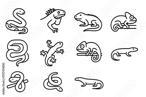 Rainforest Reptile Icons. Outline icon set of Rainforest reptiles: anaconda, iguana, caiman, boa constrictor,