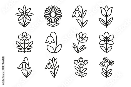 Mountain Wildflowers Icons. Outline icon set of Mountain wildflowers: edelweiss, alpine aster, gentian,