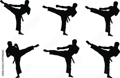 Martial arts silhouette, high kick pose, karate training, taekwondo action, fighter stance, black figure, vector illustration, combat movement