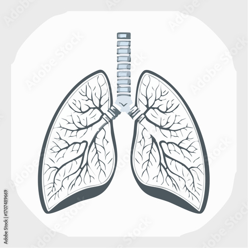 Human lungs showing respiratory system anatomy on white, representing health and the importance of breathing for life, in a simple, clean style.