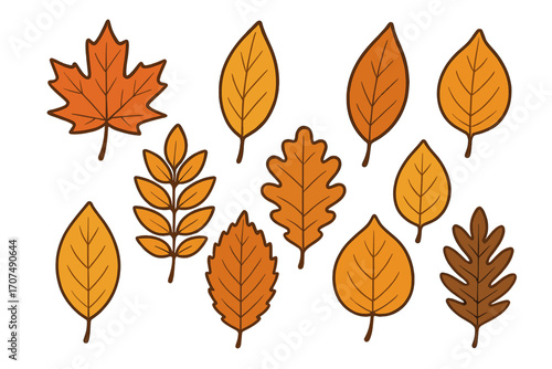 Autumn leaves set. Fall foliage elements collection. Vector cartoon illustration of maple, oak, birch leaves. Flat design icons for seasonal, nature, or Thanksgiving decor.