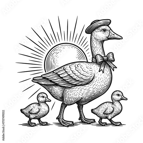 Mother duck with ducklings vintage engraving vector illustration