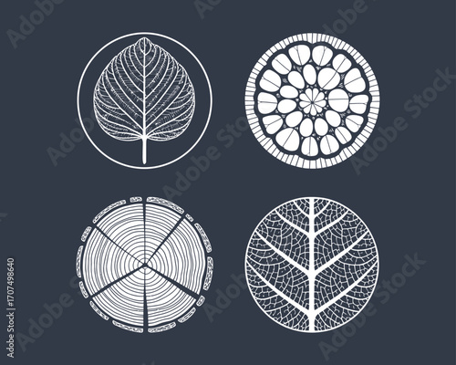 Tree Rings and Leaf Line Art Over Midnight Blue Textured Background. White Botanical Outline Illustration for Contemporary Nature Wall Art, Fabric Prints, or Background Designs