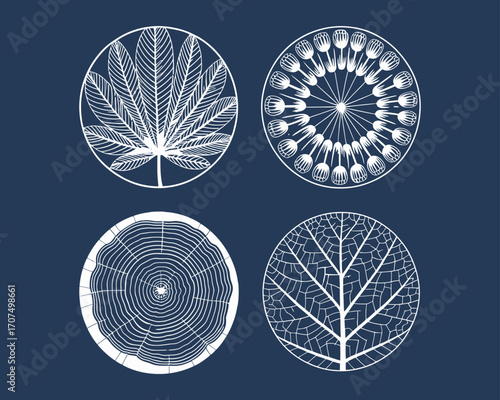 Tree Rings and Leaf Line Art Over Midnight Blue Textured Background. White Botanical Outline Illustration for Contemporary Nature Wall Art, Fabric Prints, or Background Designs