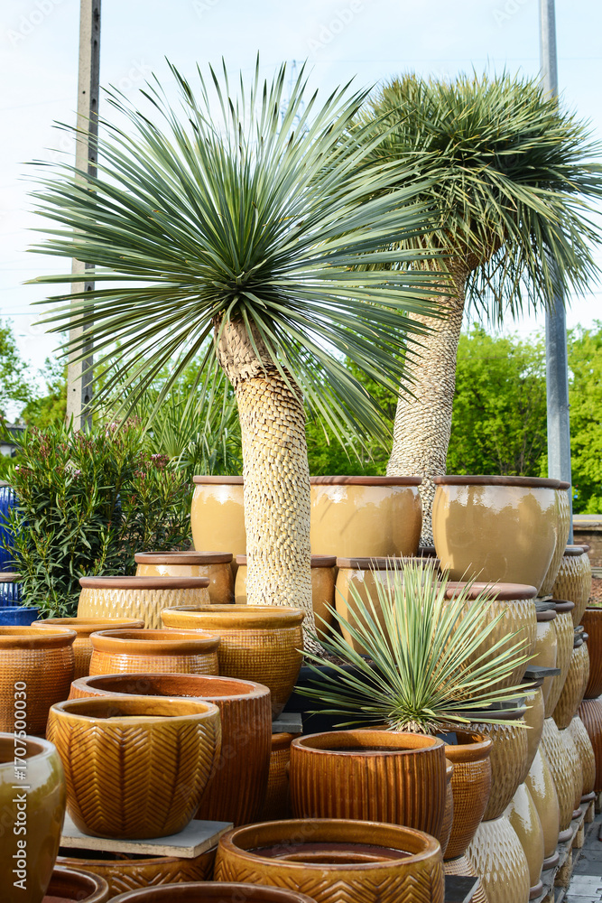 Fototapeta premium ceramic pots for flowers and plants are sold in the store 