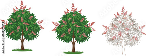 Beautiful green tree with pink flowers blooming, nature illustration, spring season, vibrant foliage, outdoor landscape, floral design, botanical art.