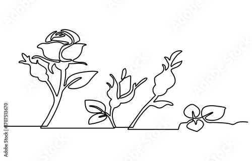 Rose one line drawing. Abstract flower continuous line. Minimalist contour drawing of rose . Continuous line drawing of flower rose . Hand drawn sketch of flower with leaves.