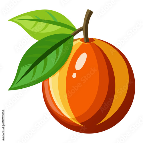 vector illustration of an araca bio fruit on white background