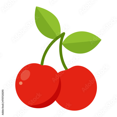  barbados cherry vector illustration
