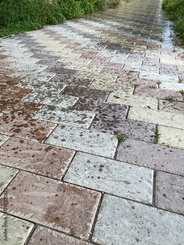 Paving slabs paved the road
