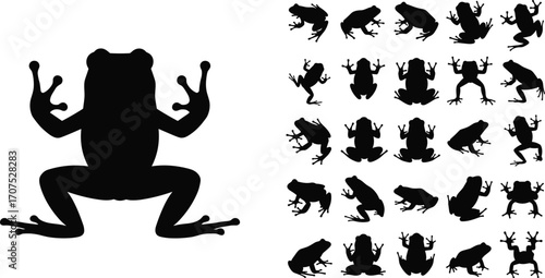 Black frog silhouette collection featuring diverse poses and movements, isolated on white background for wildlife, nature, amphibian, animal design, and educational projects