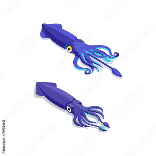 Isometric squid icon logo flat vector design