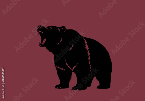 A black bear stands mouth open on a maroon background