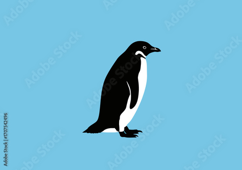 A black and white penguin stands against a light blue background
