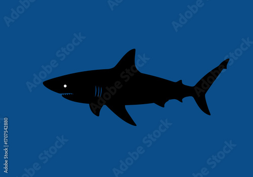 A black shark with a white eye swims in a blue background